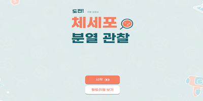 도전! 체세포 분열 관찰 초급중급