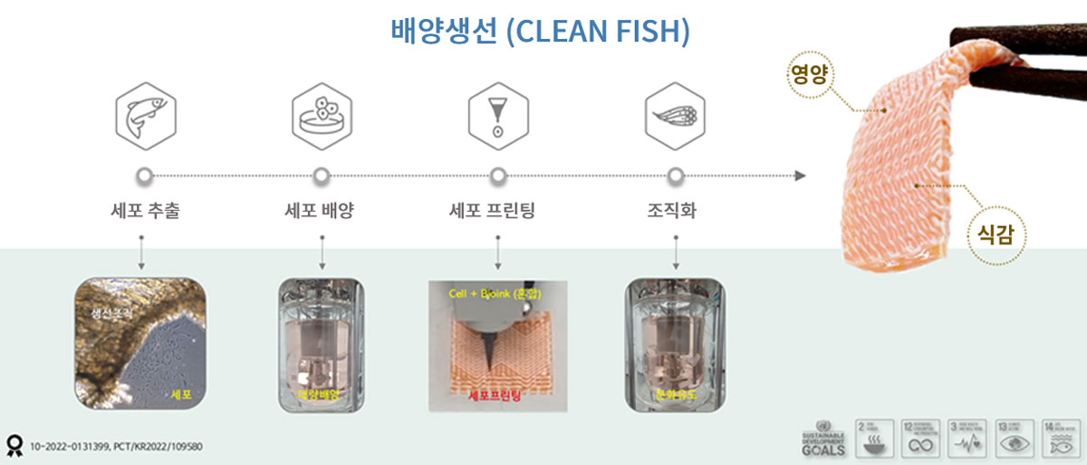 03.jpg 바이오프린팅으로 제조된 수산배양육